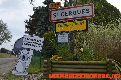 Des-panneaux-de-ralentissement-originaux-dans-un-village-de-Haute-Savoie-champignon