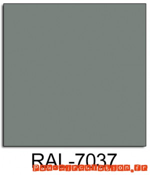 RAL-7037