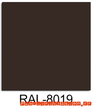 RAL-8019